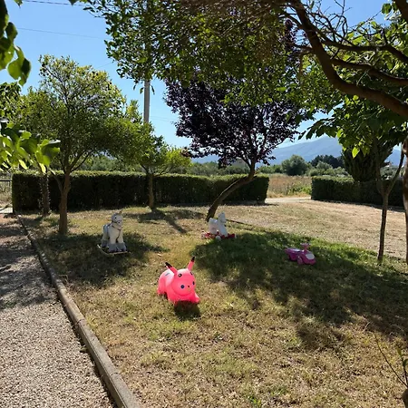 Апартаменты Amare